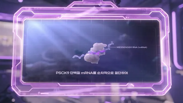 레크비오 브랜드 필름